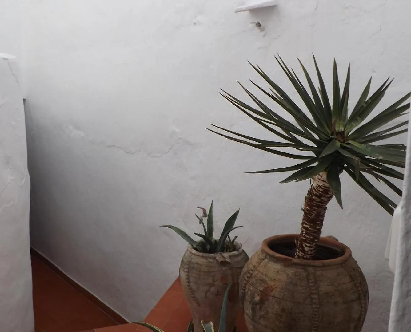 Casa Elvira Villa Competa